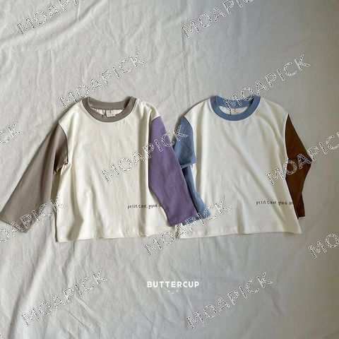 팔레트티