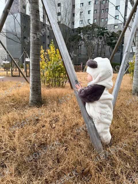 킨더팬더햇